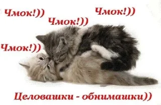 🌟 emoji кисуня ты лучшая Telegram sticker 20 of 53