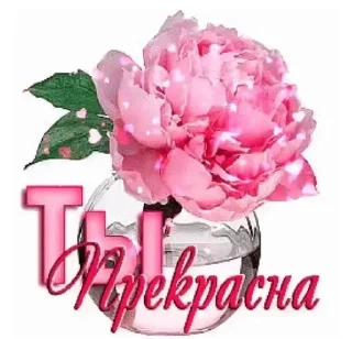 🌟 emoji кисуня ты лучшая Telegram sticker 18 of 53