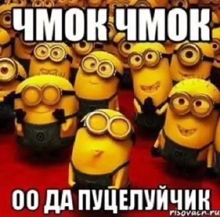 🌟 emoji кисуня ты лучшая Telegram sticker 24 of 53