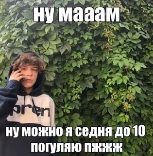 🌟 emoji кисуня ты лучшая Telegram sticker 23 of 53