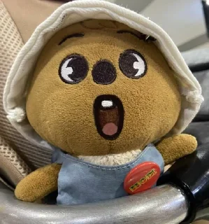 Sticker from han quokka 🐿