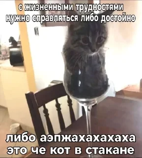 🌟 emoji вэйпбарахолка всё для рыбалки Telegram sticker 20 of 69