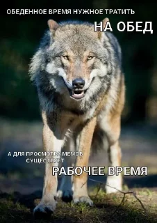 Sticker from алга