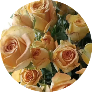 🌹 emoji Lovely love Telegram sticker 15 of 50