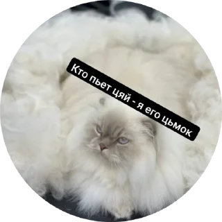 💋 emoji Lovely love Telegram sticker 19 of 50