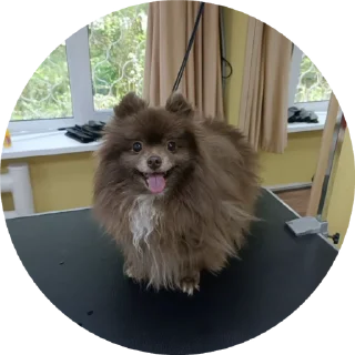😝 emoji Lovely love Telegram sticker 18 of 50