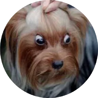 😳 emoji Lovely love Telegram sticker 21 of 50