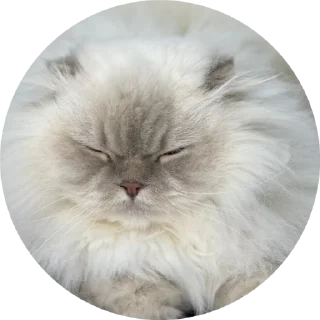 😴 emoji Lovely love Telegram sticker 20 of 50