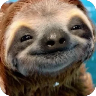 🙂 emoji Жывотные Telegram sticker 11 of 15