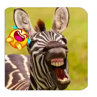 Sticker from Жывотные