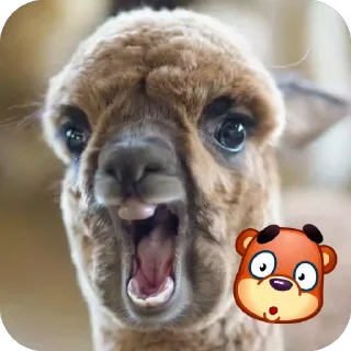 😧 emoji Жывотные Telegram sticker 10 of 15