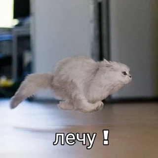 Sticker from Енотиха