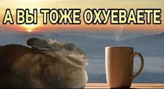 Sticker from Жывотные