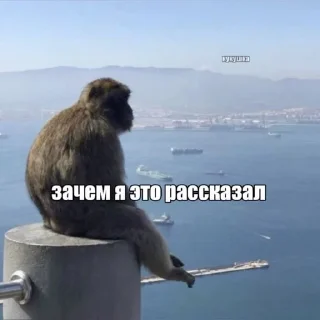Sticker from Жывотные