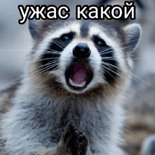Sticker from Енотиха