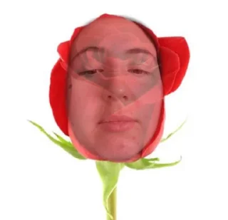 🌹 emoji Вилка и точка Telegram sticker 11 of 20