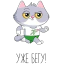 🏃‍♂️ emoji СберКот и друзья :: @stickroom Telegram sticker 8 of 44