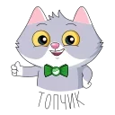 Sticker from СберКот Animated @TgSticker