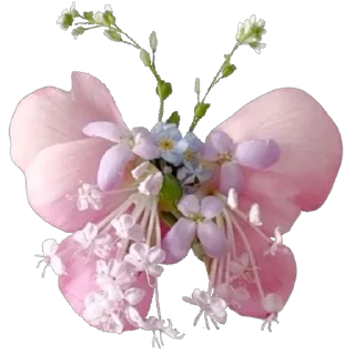 🌟 emoji @katsss_diary наклейки для дневника Telegram sticker 10 of 106