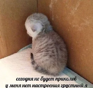 😔 emoji кицики з любов'ю Telegram sticker 5 of 50