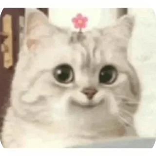🌟 emoji cAts Telegram sticker 23 of 50