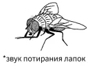Sticker from java