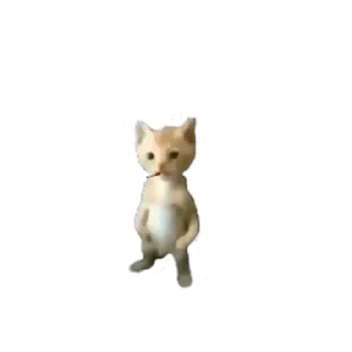 🚬 emoji you (by лесясторожуклучшевсех) Telegram sticker 11 of 19