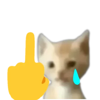 🖕 emoji you (by лесясторожуклучшевсех) Telegram sticker 16 of 19