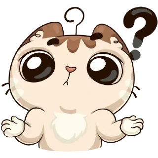 Sticker from kittens🤍