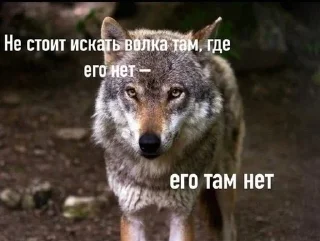 Sticker from Каспийский волк