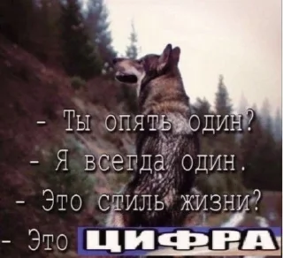 Sticker from Каспийский волк