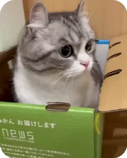 📦 emoji Лучшие стикеры: @animstiker Telegram sticker 8 of 50