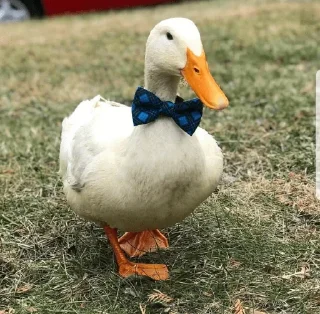 Sticker from @tgstikery - Stickers 🧩