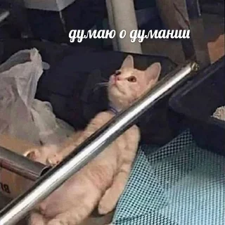 🤔 emoji уходи после девятого Telegram sticker 19 of 50