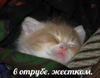 Sticker from ахах))