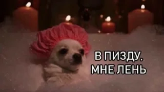 😴 emoji Интрига Telegram sticker 21 of 115