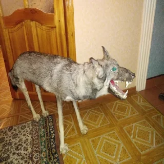 🐺 emoji Волки Telegram sticker 7 of 14