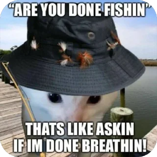 Sticker from MENTAL ILLINOIS
