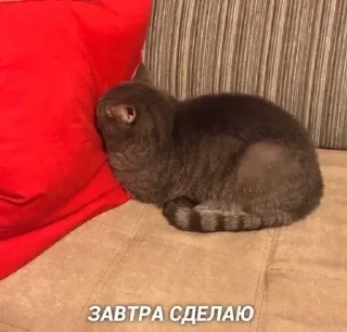 😣 emoji Больше стикеров : @stickeriiiiiii Telegram sticker 20 of 104