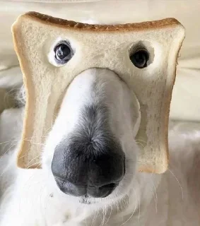 🍞 emoji Больше стикеров : @stickeriiiiiii Telegram sticker 8 of 104