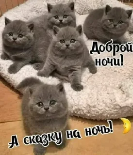 🌙 emoji Больше стикеров : @stickeriiiiiii Telegram sticker 16 of 104