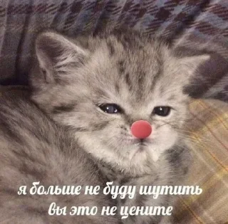 🤡 emoji Больше стикеров : @stickeriiiiiii Telegram sticker 9 of 104