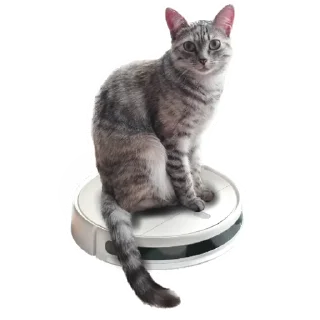 🙋‍♂️ emoji ShapaRasina.v.3 Telegram sticker 5 of 8