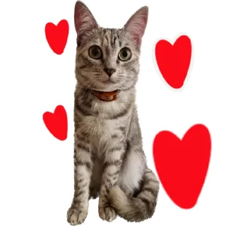 😍 emoji ShapaRasina.v.3 Telegram sticker 2 of 8