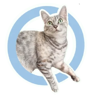 🫠 emoji ShapaRasina.v.3 Telegram sticker 6 of 8