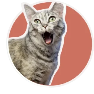 😱 emoji ShapaRasina.v.3 Telegram sticker 3 of 8