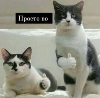 Sticker from Каждый день одно и то же