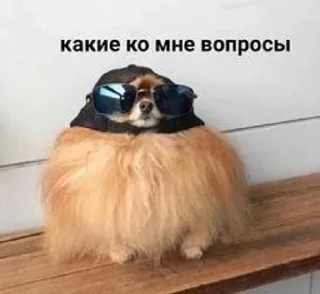 Sticker from Каждый день одно и то же