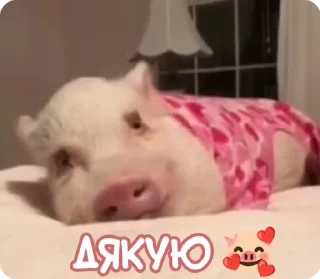 😊 emoji ран2ом @shashluchokstickers Telegram sticker 13 of 50