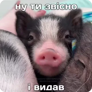 😩 emoji ран2ом @shashluchokstickers Telegram sticker 8 of 50